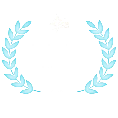 Technology Provider of the Year 2025 PSM